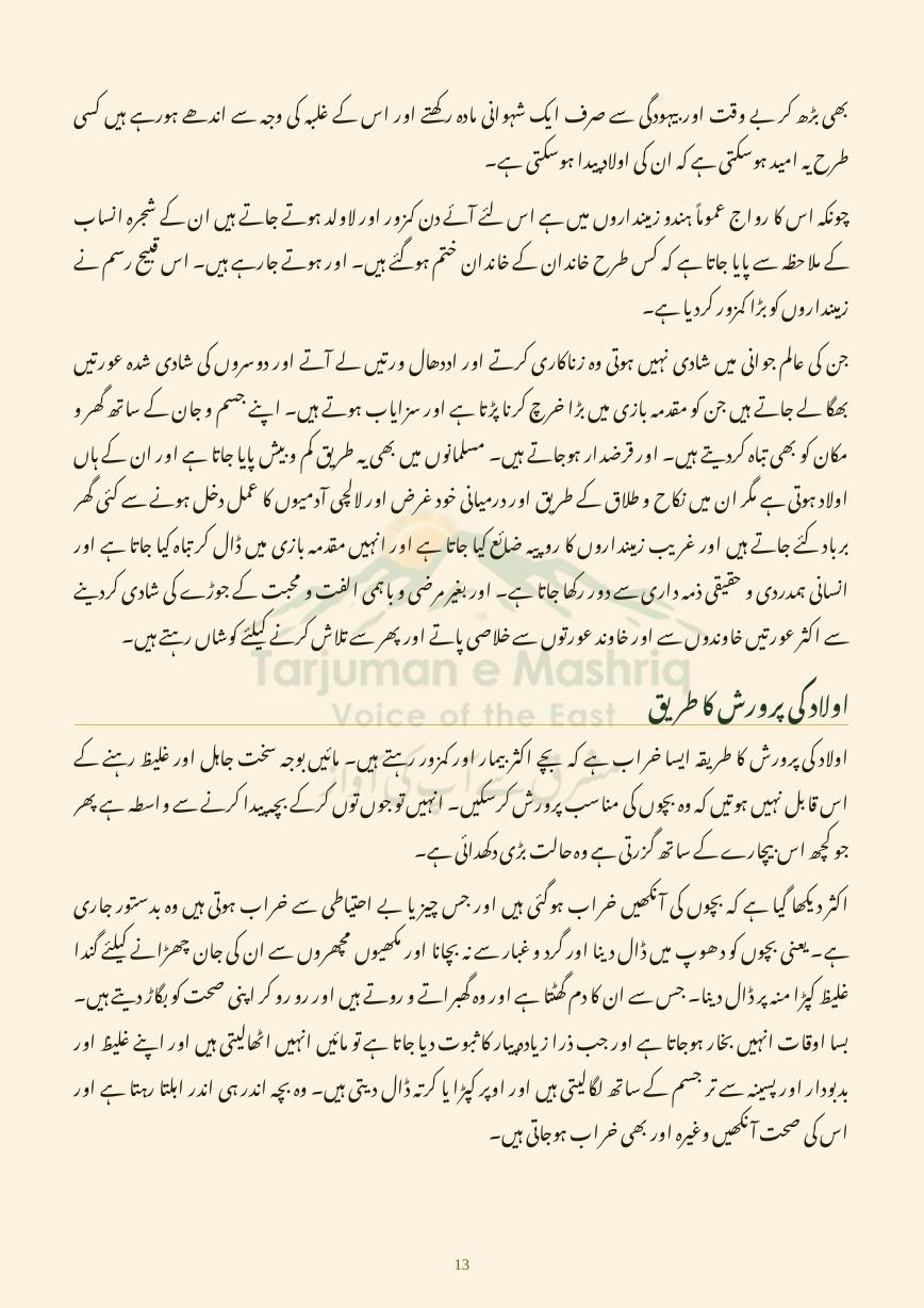 Dehati Zindagi, page 13