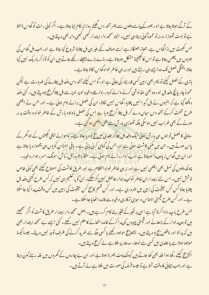 Dehati Zindagi, page 28