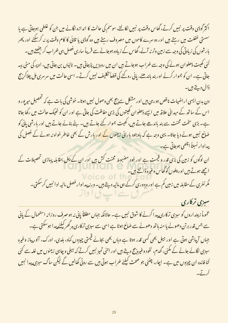Dehati Zindagi, page 29