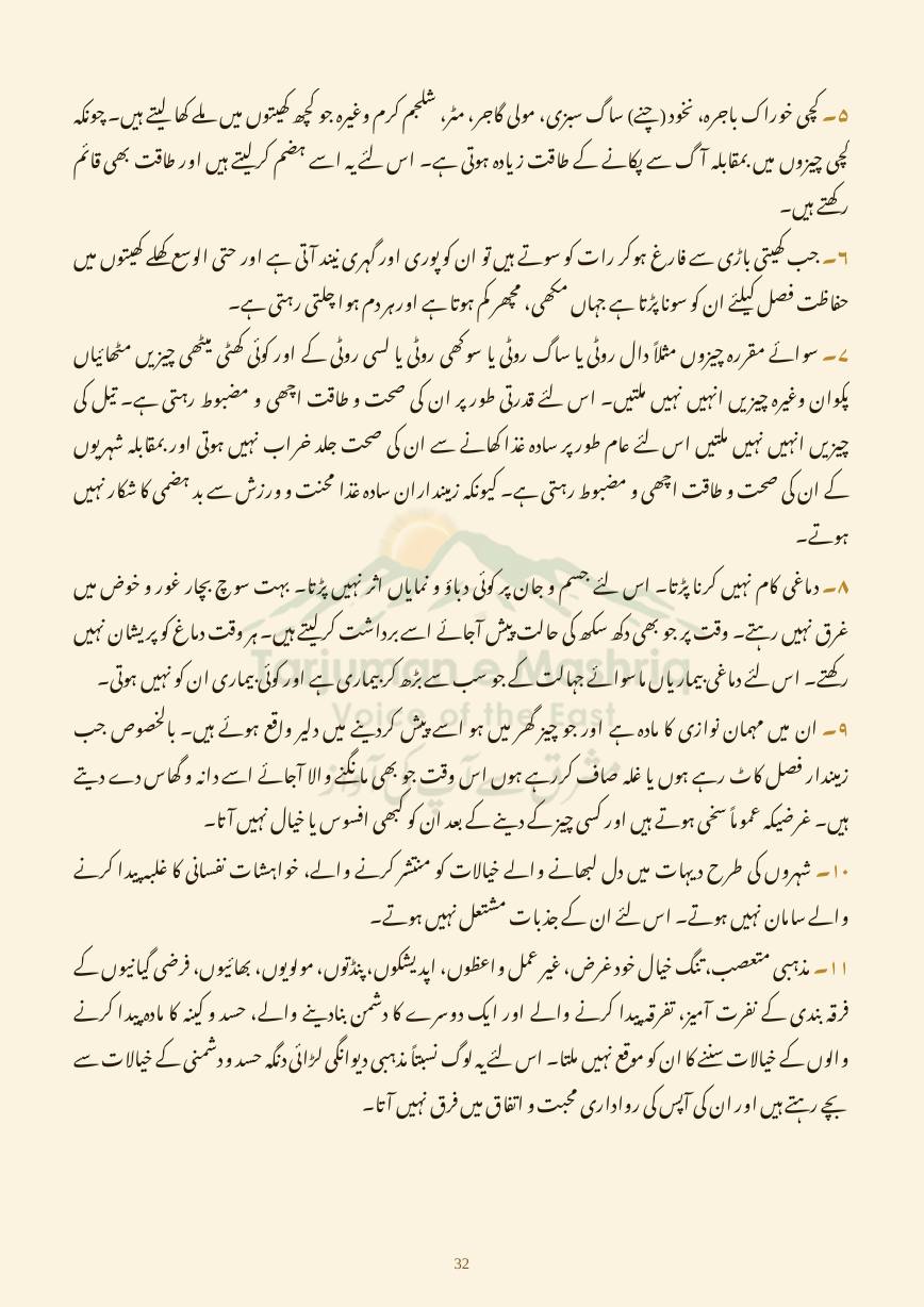 Dehati Zindagi, page 32